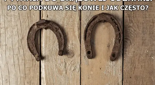 Dlaczego podkuwa się konie? Odkryj kluczowe powody i korzyści