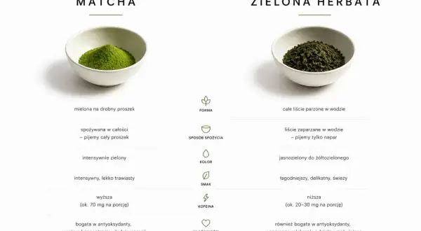 Matcha to drobno mielony proszek z zielonej herbaty, spożywany w całości, intensywnie zielony, bogaty w antyoksydanty.