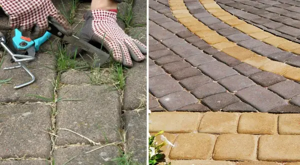Przed: chwasty w kostce brukowej. Po: czysta kostka brukowa. Ocet na chwasty w kostce brukowej działa cuda!