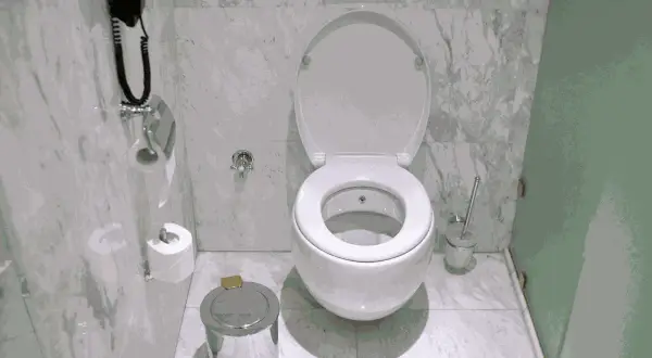 Biała miska WC z otwartą klapą, obok kosz na śmieci i szczotka. W tle uchwyt na papier toaletowy i telefon.