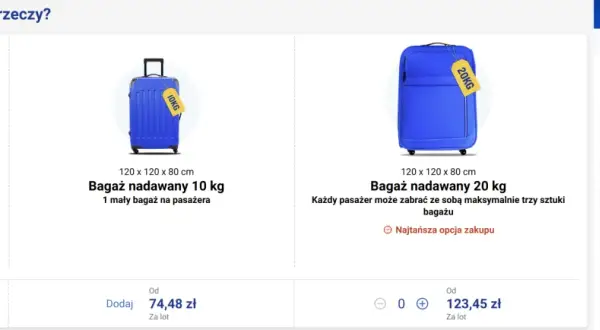 Ryanair bagaż rejestrowany 20 kg - co naprawdę można zabrać?