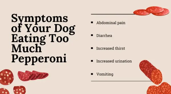 Symptoms of your dog eating too much pepperoni: abdominal pain, diarrhea, increased thirst, increased urination, and vomiting.