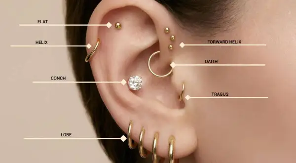 Ucho z kolczykami: flat, helix, conch, lobe, forward helix, daith, tragus. Dowiedz się, gdzie najbardziej boli kolczyk w uchu.