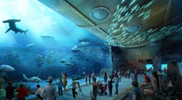 Gdynia atrakcje oceanarium - odkryj fascynujące morskie ekosystemy