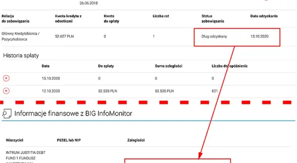 Spłacony dług w BIK: Kiedy zniknie i jak go usunąć?