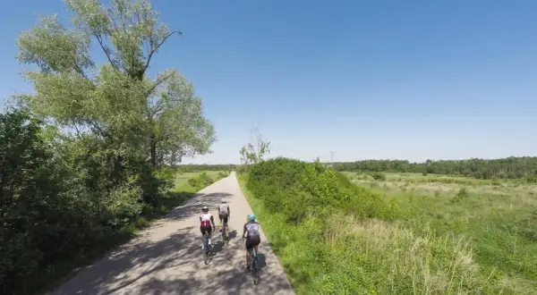Trzech rowerzystów przemierza gazy trasę rowerową wśród zieleni i pól.