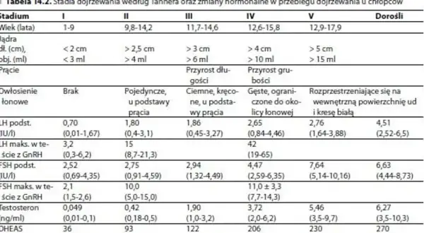 Tabela przedstawia stadia dojrzewania u chłopców, w tym 11-latka, z uwzględnieniem wieku, rozwoju jąder, prącia, owłosienia łonowego oraz zmian hormonalnych.
