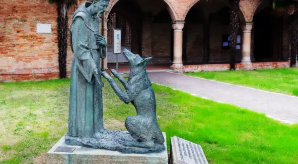 Dlaczego św. Franciszek jest patronem ekologów i jak zmienił podejście do przyrody