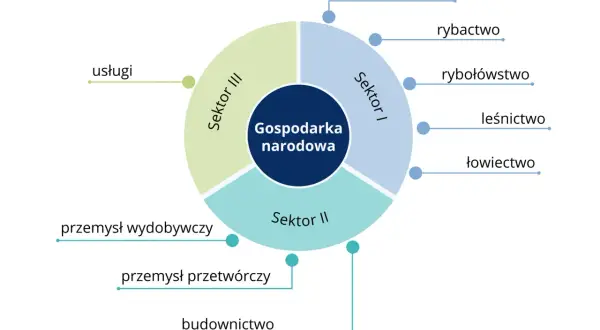 Diagram przedstawia strukturę gospodarki narodowej, dzieląc ją na Sektor I (rolnictwo, rybactwo, rybołówstwo, leśnictwo, łowiectwo), Sektor II (przemysł wydobywczy, przetwórczy, budownictwo) i Sektor III (usługi).