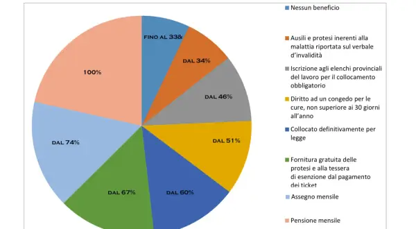 Grafico a torta mostra la percentuale invalidità per pensione e i benefici correlati.
