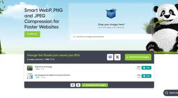 Jaka rozdzielczość zdjęć na stronę internetową, aby uniknąć problemów?