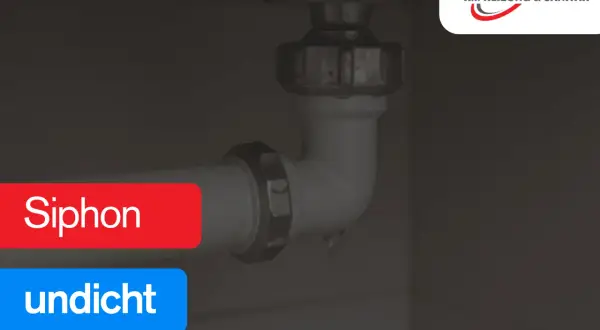 Tropfen unter dem Siphon. Ein undichter Siphon verursacht Wasserschäden.