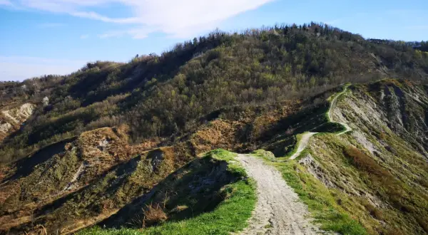 Sentiero sterrato serpeggia su crinale erboso, ideale per il trekking a Cesena, con colline boscose sullo sfondo e cielo azzurro.