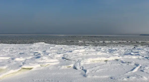 Zamarznięty Bałtyk, pokryty lodem i śniegiem, z ptakami na wodzie. Trudno zliczyć, ile razy Bałtyk zamarzł.