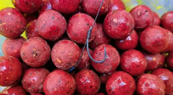 Czerwone kulki proteinowe, gotowe do zarzucenia. Dowiedz się, jak zrobić kulki proteinowe, które przyciągną każdą rybę.