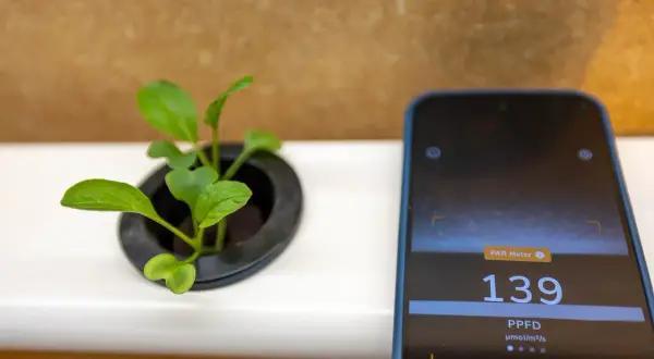 En liten planta växer i en kruka bredvid en mobil som mäter ljusintensitet. Skärmen visar 139 PPFD.