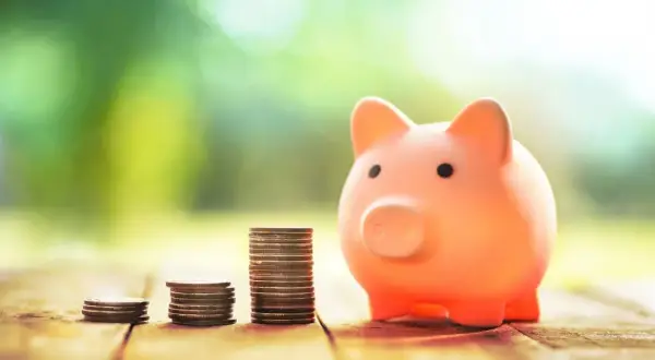Po jakim czasie provident oddaje do windykacji i co możesz zrobić?