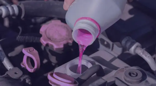 Vertiendo líquido rosa, ya sea anticongelante orgánico o inorgánico, en el motor de un coche.