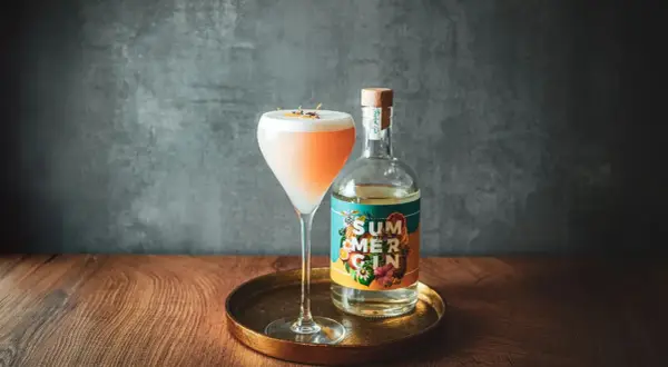 Gin Cocktails meistern: Rezepte & Tipps für perfekte Drinks