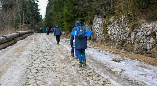 Ludzie idą kamienistą drogą przez las. Wiosenne topnienie śniegu i lodu może być jedną z przyczyn zamykania szlaków turystycznych w parkach narodowych.