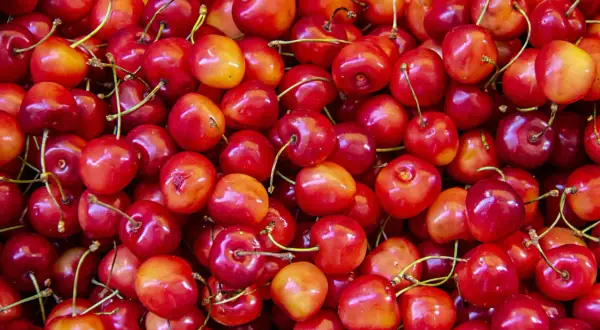 Mnóstwo soczystych czereśni, idealnych na zdrową przekąskę. Sprawdź, ile mają czereśnie kcal!