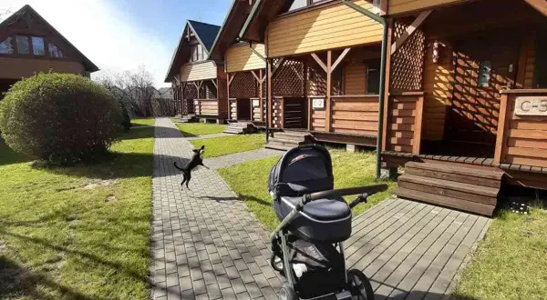 Wesoły piesek goni piłkę na ścieżce przy domkach w ośrodku wczasowym Sęk w Karwi. Obok stoi wózek dziecięcy.