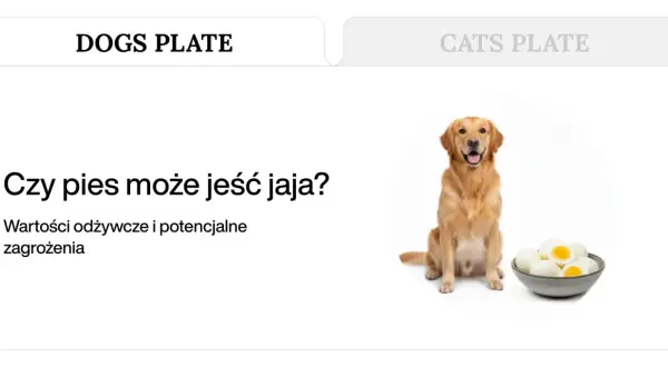 Złoty retriever siedzi obok miski z jajkami na twardo, a tekst pyta: "Czy pies może jeść jaja?".