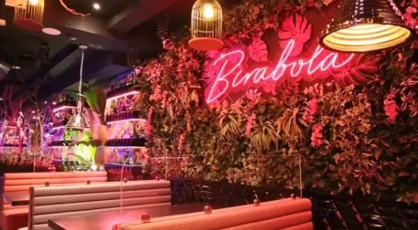 Un interior vibrante con un letrero de neón "Pirabola" sobre una pared de vegetación exuberante. Mesas y asientos de estilo cabina crean un ambiente acogedor, ideal para descubrir restaurantes originales en Zaragoza.