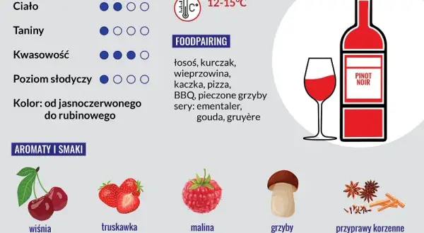 Pinot Noir: Jaki to smak? Odkryj jego tajemnice i połączenia