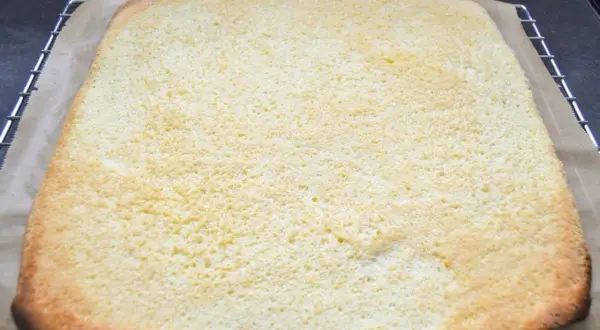 Frisch gebackener, luftiger Biskuitboden für ein leckeres Rezept. Perfekt für Torten und Rollkuchen.