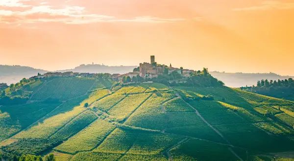 Colline vitate al tramonto nelle Langhe, Roero e Monferrato, con un borgo arroccato e un castello.