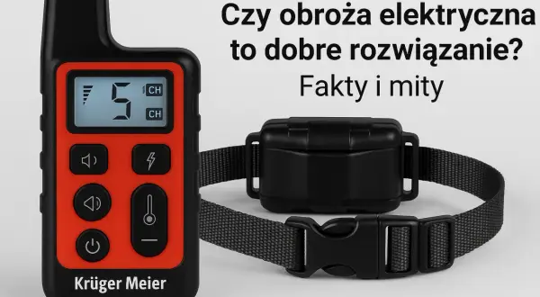 Czy obroża elektryczna jest bezpieczna dla psa? Poznaj fakty