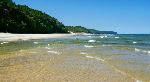 Piękne, dzikie plaże w Polsce. Spokojne fale Bałtyku obmywają piaszczysty brzeg, a las sosnowy tworzy zieloną ścianę w tle.