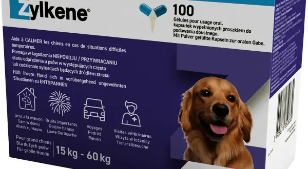 Jakie leki na uspokojenie dla psa pomogą w walce z lękiem?