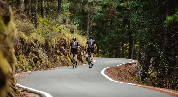 Ciclistas disfrutan de una ruta escénica en Andorra, pedaleando por un camino sinuoso rodeado de bosques frondosos.