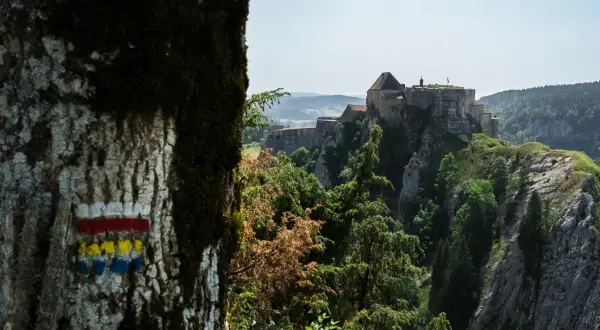 Marqueurs de sentier sur un arbre, indiquant le chemin vers un château perché sur une falaise. Quel est le gr le plus difficile à atteindre ?