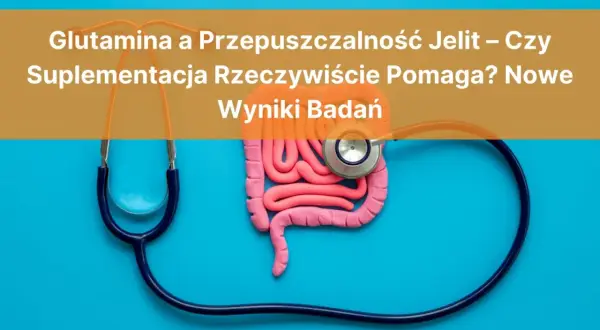 Glutamina co to? Model jelit i stetoskop na niebieskim tle. Tytuł: "Glutamina a Przepuszczalność Jelit – Czy Suplementacja Rzeczywiście Pomaga? Nowe Wyniki Badań".