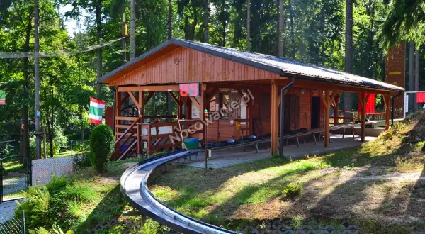 Czarodziejska Góra Jedlina-Zdrój: Park linowy dla rodzin przewodnik