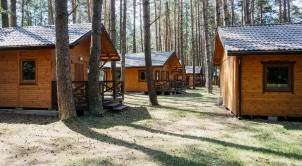 Drewniane domki w lesie, idealne na tanie domki na Mazurach. Słońce przebija się przez sosny, tworząc cień na trawie.