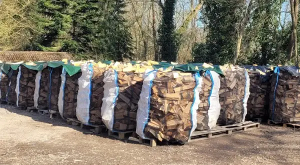 Reihenweise Säcke mit gespaltenem Brennholz, bereit zum Trocknen. Die Frage "wie lange holz trocknen" beschäftigt jeden, der diesen Anblick sieht.