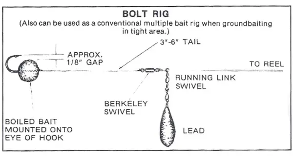 Schemat "Bolt Rig" z haczykiem z włosem, przynętą, krętlikami i ołowiem.