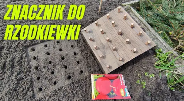 Jak zrobić znacznik do siania warzyw - proste kroki i porady