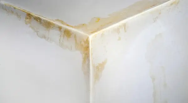 Ecke einer Eigentumswohnung mit deutlichen Wasserflecken und Verfärbungen an Wand und Decke, ein Zeichen für einen unverschuldeten Wasserschaden.