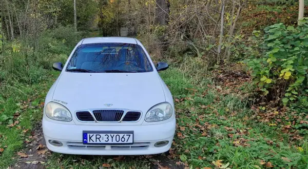 Białe Daewoo Lanos z napisem "WHITE PIGGY" na błotniku, zaparkowane na leśnej ścieżce wśród jesiennych liści.