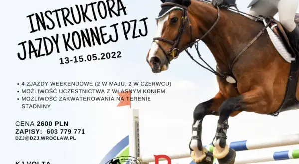 Kurs instruktora jeździectwa powszechnego PZJ - wymagania i koszty