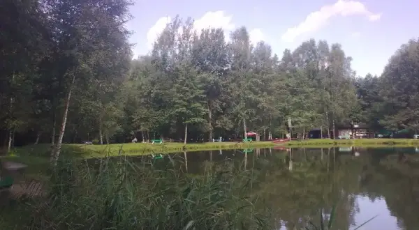 Najlepsze łowiska komercyjne w Śląsku – uniknij rozczarowania wędkarskiego