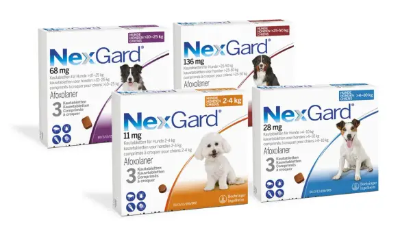 NexGard Kautabletten für Hunde, die Zecken und Flöhe bekämpfen. Afoxolaner ist der Wirkstoff. NexGard hund giftig? Nein, bei korrekter Anwendung sicher.