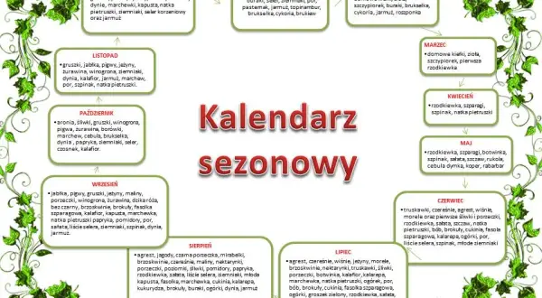 Kiedy sezon na cukinie? Lipiec i sierpień smak i oszczędność