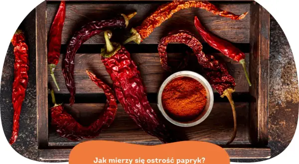 Suszone papryczki chili i ich proszek. Czy wiesz, że kapsaicyna co to jest, odpowiada za ich ostrość?