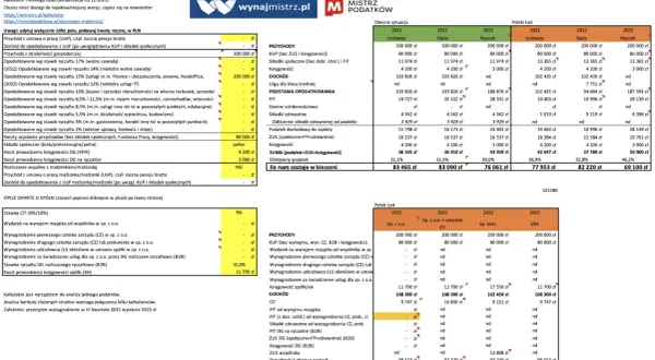 Polski ład: realne koszty dla małych firm. Kalkulator pokazuje, jak zmiany wpłynęły na dochód netto.